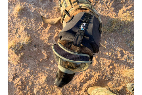 Orejeras Protectoras ruido para perros EAR PRO Rex Specs. evitar la perdida auditiva, usos militar, policia, petardos toma 6