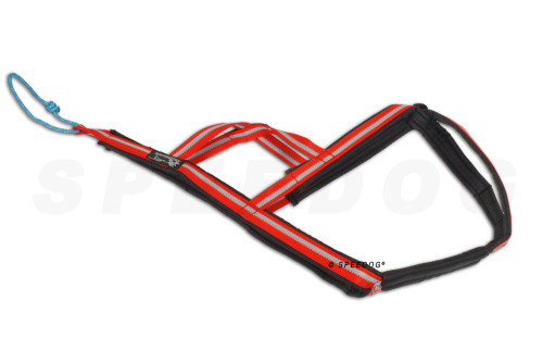 arnés para perros Dragrattan X-Back para canicross, bikejoring, bicicleta. materiales larga duración. toma 2