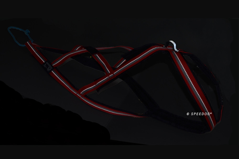 arnés para perros Dragrattan X-Back para canicross, bikejoring, bicicleta. materiales larga duración. reflectante