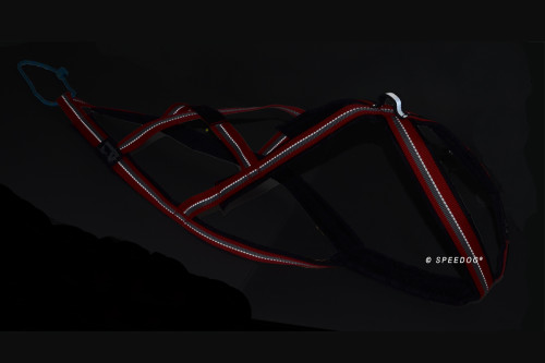 arnés para perros Dragrattan X-Back para canicross, bikejoring, bicicleta. materiales larga duración. reflectante