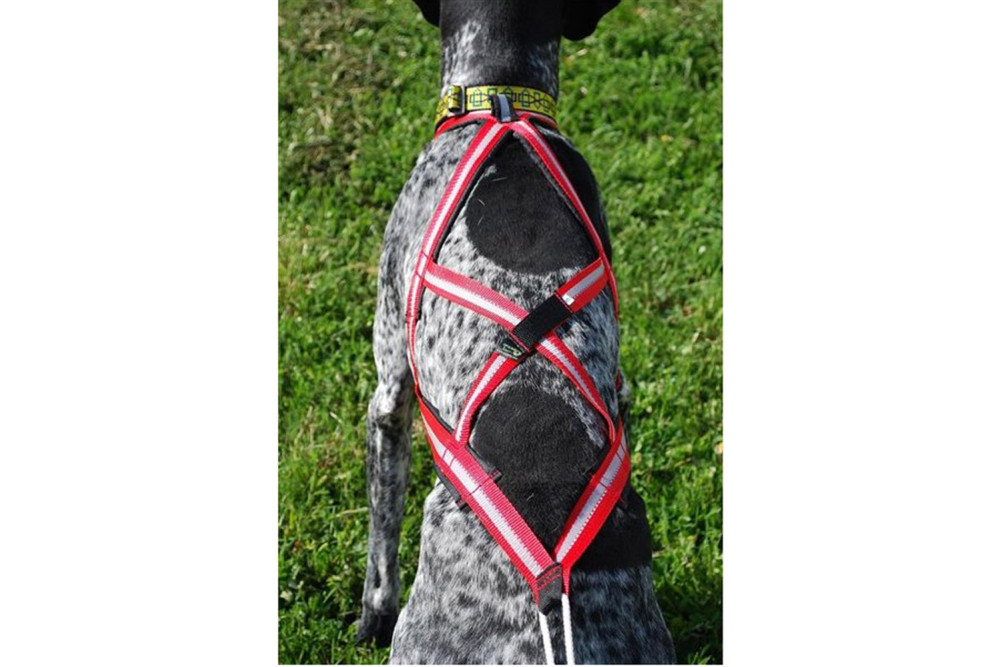 arnés para perros Dragrattan X-Back para canicross, bikejoring, bicicleta. materiales larga duración. toma 5