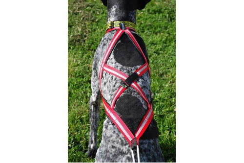 arnés para perros Dragrattan X-Back para canicross, bikejoring, bicicleta. materiales larga duración. toma 5