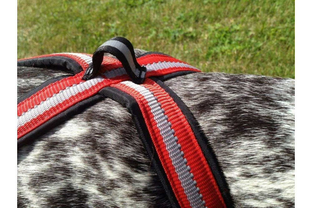 arnés para perros Dragrattan X-Back para canicross, bikejoring, bicicleta. materiales larga duración. toma 4