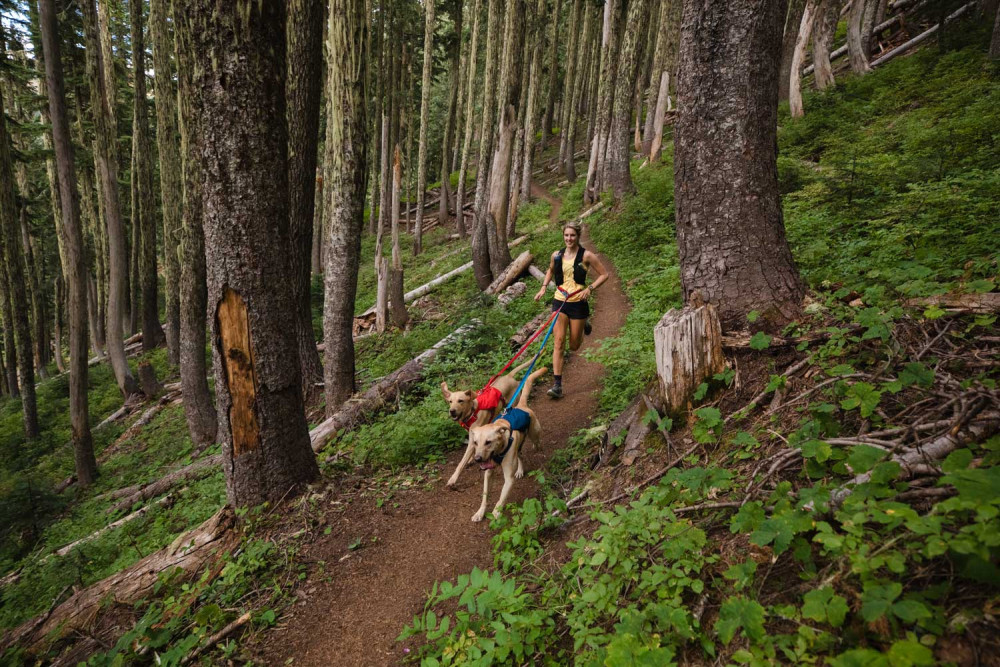 Arnés Ruffwear SWITCHBACK™