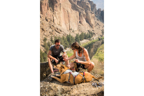 arnés para perros Ruffwear DoubleBlack™ resistencia testada elevar y descender perro zonas expuestas. Rescate, montañismo toma 5