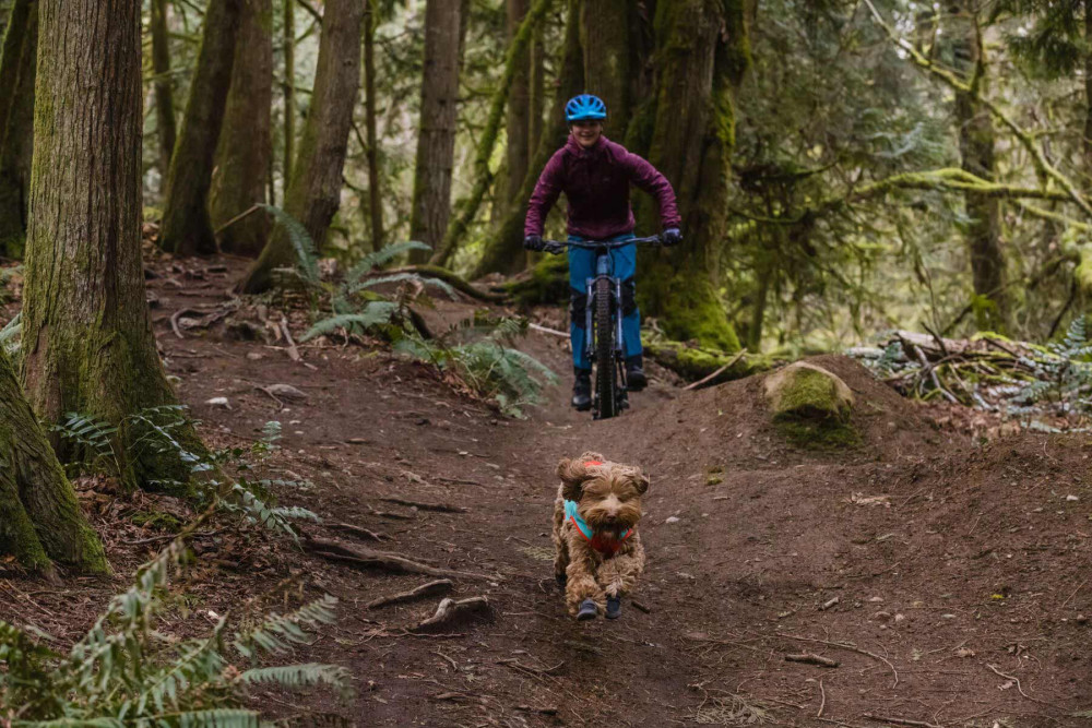botas zapatos para perros Summit Trex de Ruffwear son multiusos y polivalentes.  Flexibles y a la vez resistentes. Toma 4