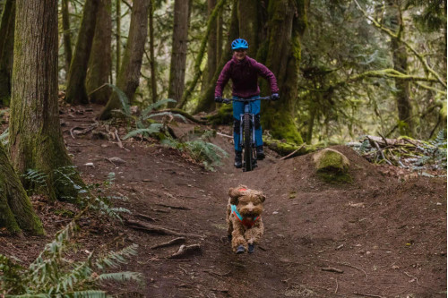 botas zapatos para perros Summit Trex de Ruffwear son multiusos y polivalentes.  Flexibles y a la vez resistentes. Toma 4