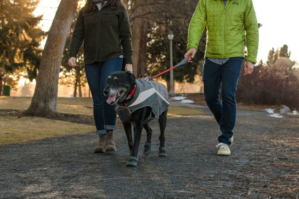 botas zapatos para perros Summit Trex de Ruffwear son multiusos y polivalentes.  Flexibles y a la vez resistentes. Toma 3