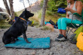 bol plegable para perros Quencher™ Ruffwear ideal para mochila, senderismo, trekking, running, viajes toma 13
