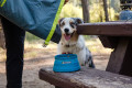 bol plegable para perros Bivy™ de Ruffwear para mochila, senderismo, trekking, running, viajes,... toma 4