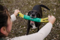 El juguete para perros Pacific Loop™ Ruffwear para entrenar por diversión o entrenamiento de trabajo toma 10