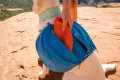 El juguete para perros Camp Flyer™ de Ruffwear es un disco ligero que se puede usar de bebedero. rojo 6