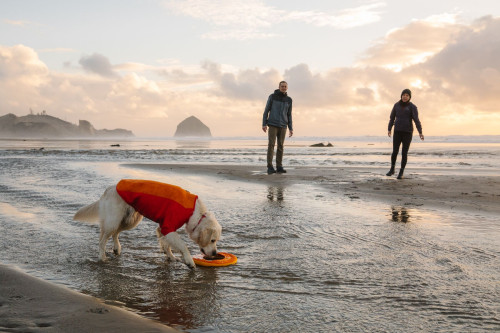 El juguete para perros Hydro Plane™ Ruffwear disco para largo alcance.  Su núcleo de espuma para no dañar los dientes toma 9