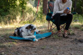 El juguete para perros Gnawt-A-Stick™ de Ruffwear es idela para juegos con tu perro de buscar y actividades en el agua toma 4
