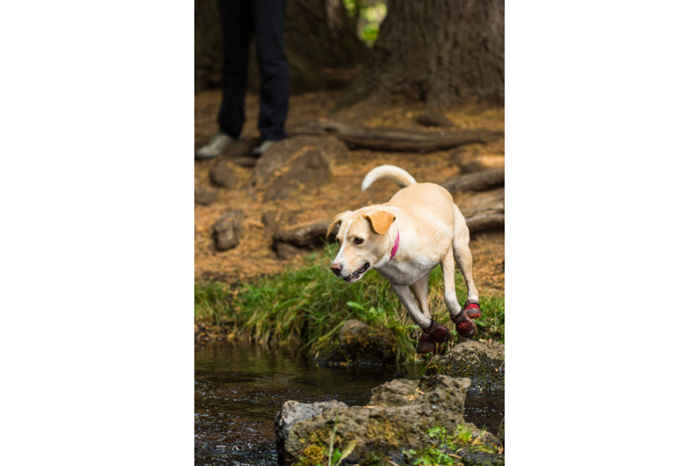 botas zapatos para perros Grip Trex™ Verde Ruffwear protección todo terreno. suela Vibram de alto agarre toma 6