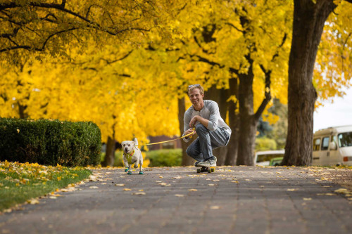 botas zapatos para perros Grip Trex™ rojo Sumac Ruffwear protección todo terreno.  suela Vibram de alto agarre toma 8
