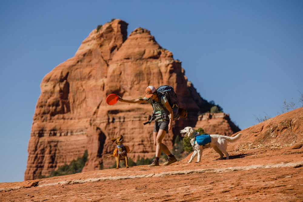 mochila alforja para perros Ruffwear Approach™ Pack 2022 Naranja ajuste y funcionalidad para que lleve cómodo la carga toma 15