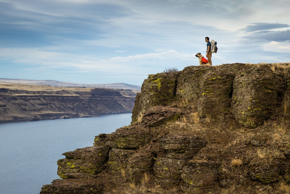 mochila alforja para perros Ruffwear Palisades™ Pack 2022, ajuste funcionalidad para que lleve cómodo la carga toma 22