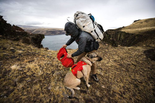 mochila alforja para perros Ruffwear Palisades™ Pack 2022, ajuste funcionalidad para que lleve cómodo la carga toma 20