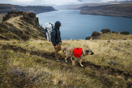 mochila alforja para perros Ruffwear Palisades™ Pack 2022, ajuste funcionalidad para que lleve cómodo la carga toma 21