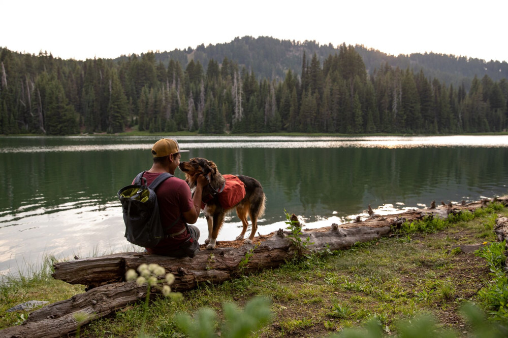 mochila alforja para perros Ruffwear Front Range™ Turquesa, ajuste y funcionalidad, confortable toma 10