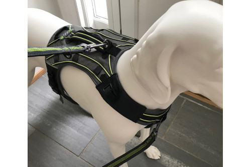 arnés para perros Eqdog PRO HARNESS verde de apoyo multiuso. para perros de trabajo y asistencia  en obstáculos. toma 7