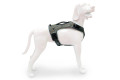 mochila alforja para perros Eqdog FLEX PACK™ ajuste y funcionalidad para que tu perro lleve cómodamente la carga. toma 7