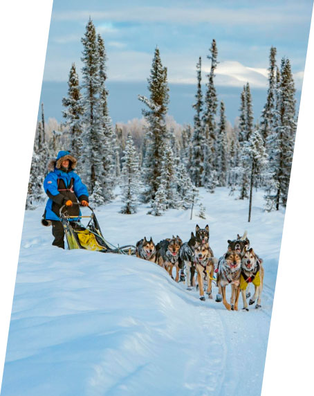 Mushing