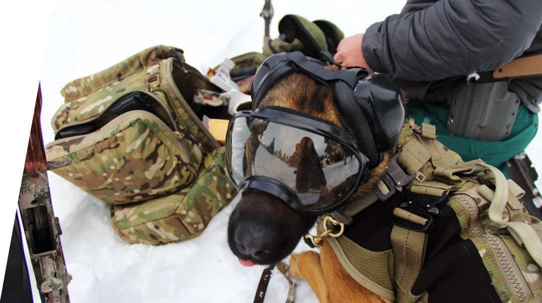 Dingo Gear Delantal Militar de Tela para protección de señuelo en K9 para Entrenamiento de mordedura de Perro 