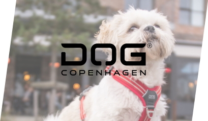 Zona Dog Copenhagen
